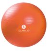 Sveltus Gymball 55 cm Adult...