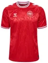 Hummel Adult Denmark 2024...