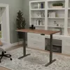 Vari Electric Standing Desk...