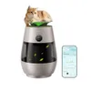 Vacuums and More from Dreame