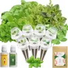 Hydroponics Herb Seed Pod Kit...