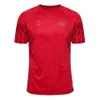 2022-2023 Denmark Home Jersey