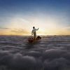 The Endless River 2LP