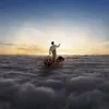 The Endless River 2LP