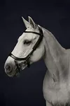 PresTeq FaySport Snaffle...