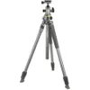 Vanguard ALTA PRO 2+ 263AB100...