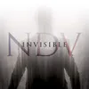 Invisible