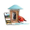 NETVUE by Birdfy Smart Bird...