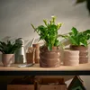 IKEA HASSELBUKETT plant pot,...