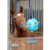 Shires Carrot Ball - Blue /...