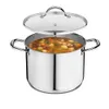 Stainless Steel Stockpot with...