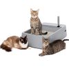 PetSafe Multi-Cat Litter Box,...