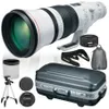 Canon EF 600mm f/4L IS III...