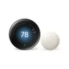 Google Nest Learning...