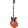 D'Angelico Deluxe Brighton...