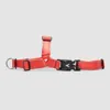 Lifetime Harness - Ruby /...