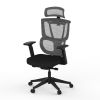 FlexiSpot C7 Ergonomic Chair:...