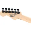 Charvel Pro-Mod San Dimas...