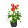 Artificial Flower Calla Lily...