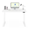 FlexiSpot Premium Standing...