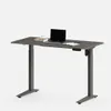Desk 5 Electric Standing Desk...