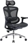 Sihoo Doro C300 Ergonomic...