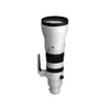 Sigma 300-600mm f/4 DG OS...