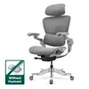 Hinomi H2 Pro Ergonomic...