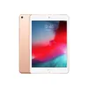 iPad mini (2019) 256GB - Gold...