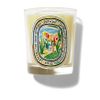 Diptyque Citronnelle Candle