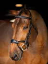 Kudos Clear Arc Bridle