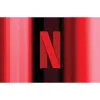 Netflix Gift Card $25 (Email...
