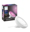 Philips Hue Outdoor...