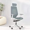 FlexiSpot Ergonomic Chair...