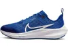 Nike Zoom Pegasus 40 (Gs)...