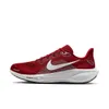 Arizona Cardinals Pegasus 41...