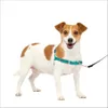 PetSafe Easy Walk Dog...