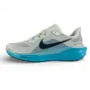 Nike Air Zoom Pegasus 41...