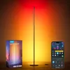 Govee RGBIC Floor Lamp Basic...