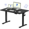 FLEXISPOT EN1 Standing Desk -...