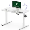 FLEXISPOT Standing Desk with...