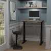 Vari Electric Standing Desk...