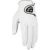 Callaway Golf 2024 Dawn...