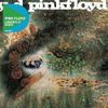 A Saucerful Of Secrets CD