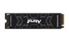 Kingston Fury Renegade 500gb...