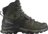 Salomon Men's Quest 4 GTX...