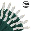 Brite Star 100 Count Mini...