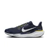 Michigan Pegasus 41 Nike...