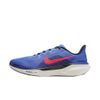 Nike Men's Air Zoom Pegasus...