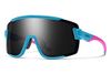 Smith Optics Wildcat...